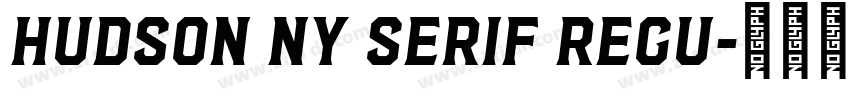 Hudson NY Serif Regu字体转换